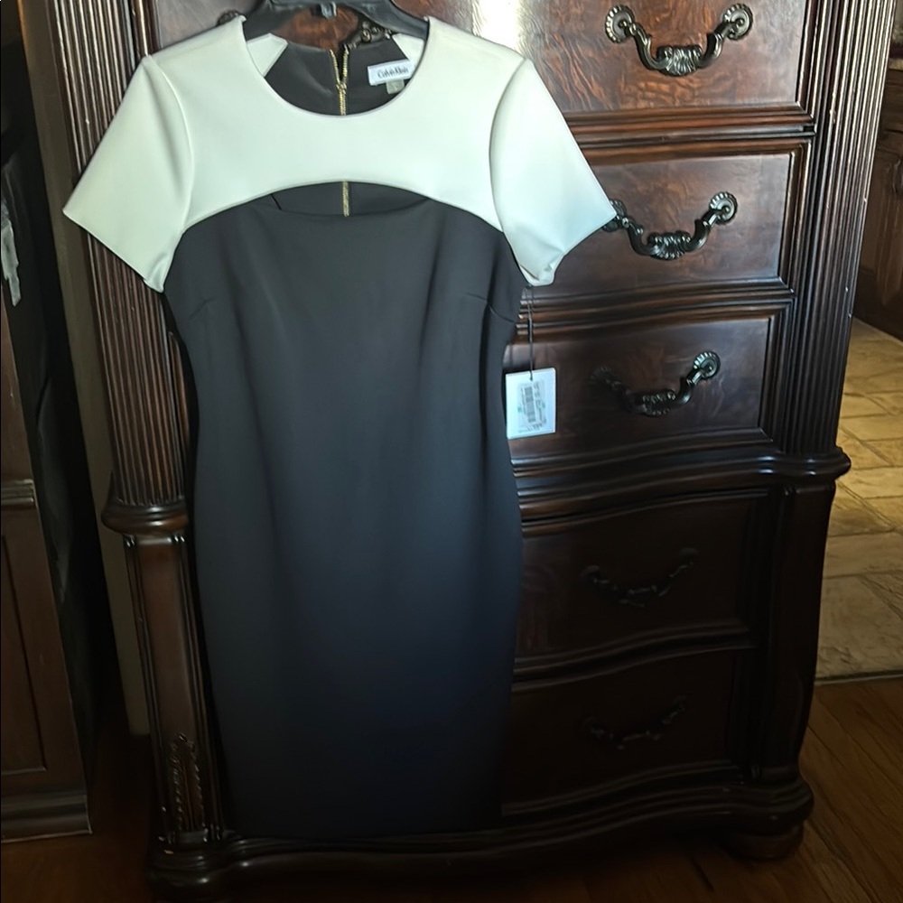 Calvin Klein black and white Sheath Dress with Raglan Sleeves
